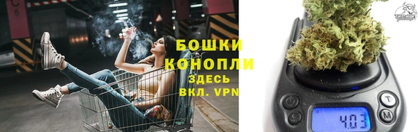 крисы Аркадак