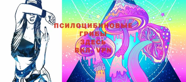 гашик Армянск