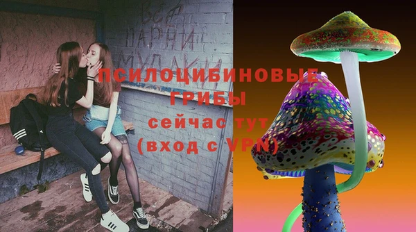 крисы Аркадак