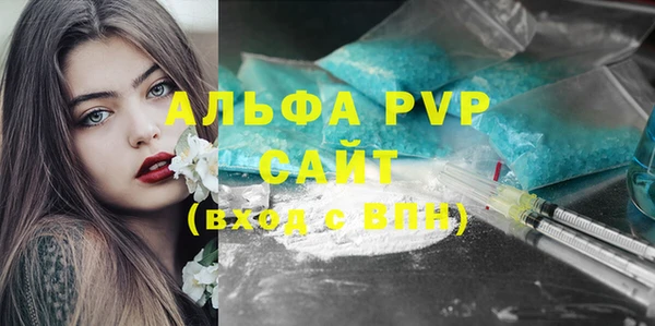 прущий лед Пересвет